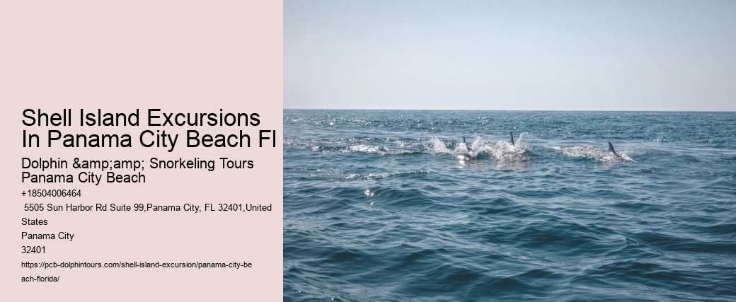 Shell Island Excursions In Panama City Beach Fl