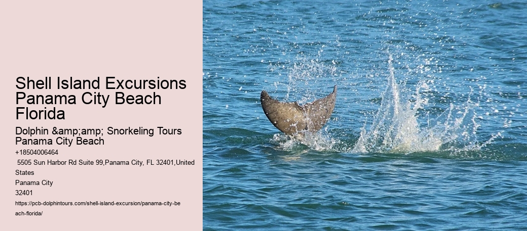 Shell Island Excursions Panama City Beach Florida