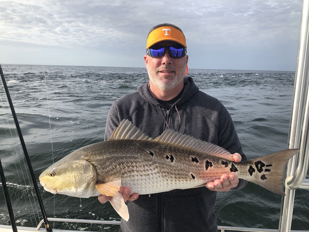 How much does it cost to charter fish in Florida
