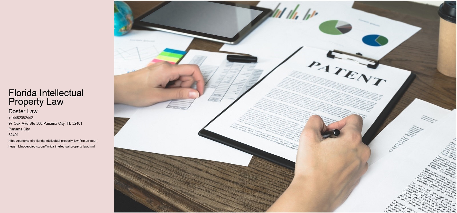 Florida Intellectual Property Law