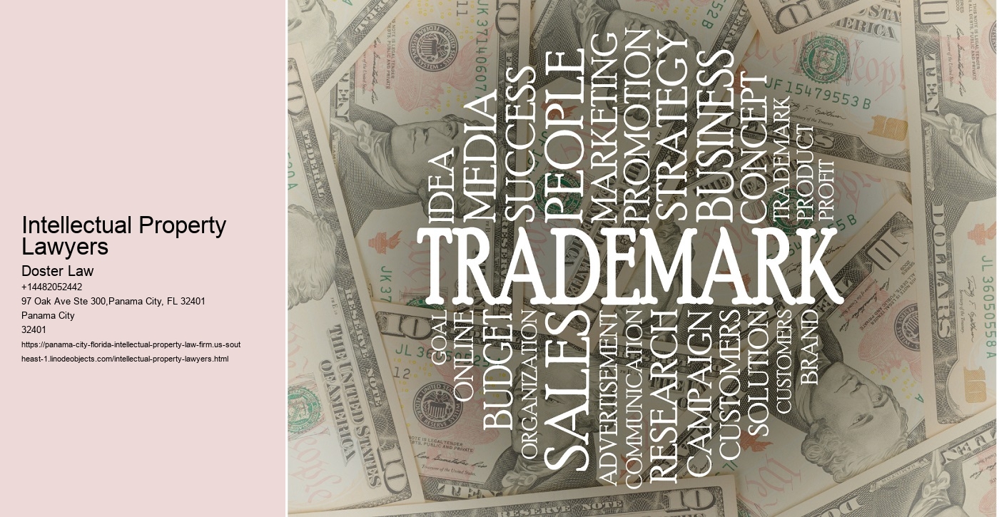 Intellectual Property Lawyers