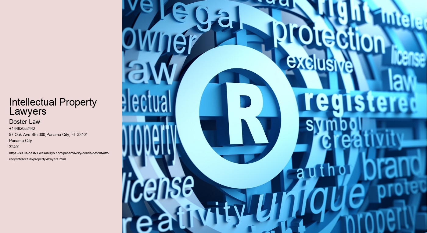 Intellectual Property Lawyers