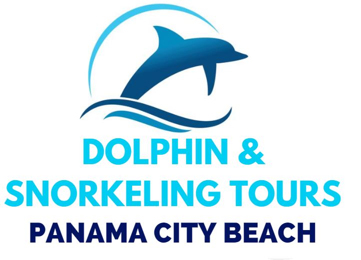 Panama City Swim With Dolphins