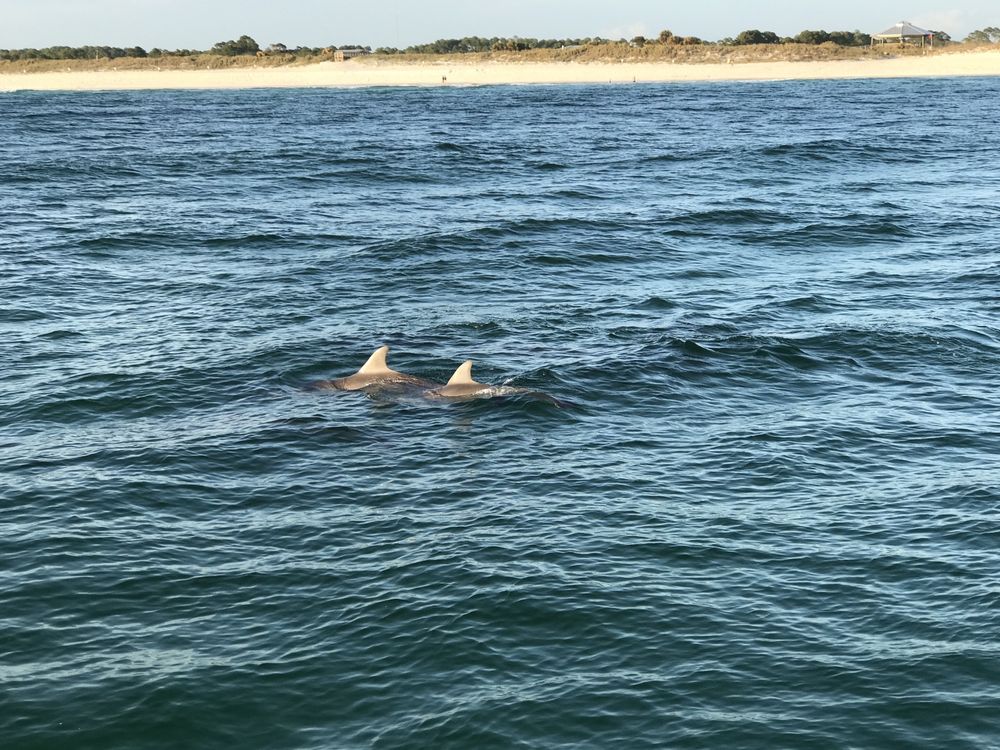 Snorkeling Panama City Beach Destin Florida