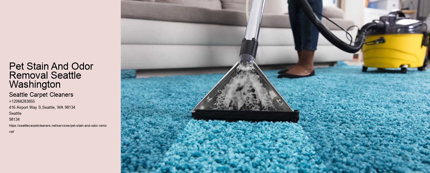 Pet Stain And Odor Removal Seattle Washington