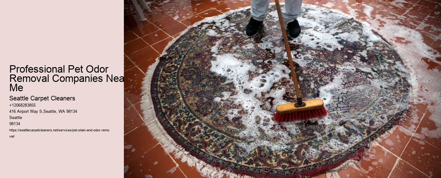 Professional Pet Odor Removal Companies Near Me