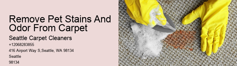 Remove Pet Stains And Odor From Carpet
