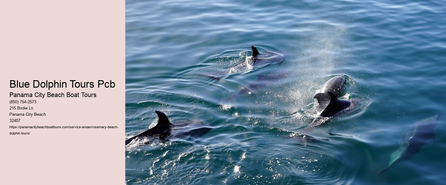 Blue Dolphin Tours Pcb