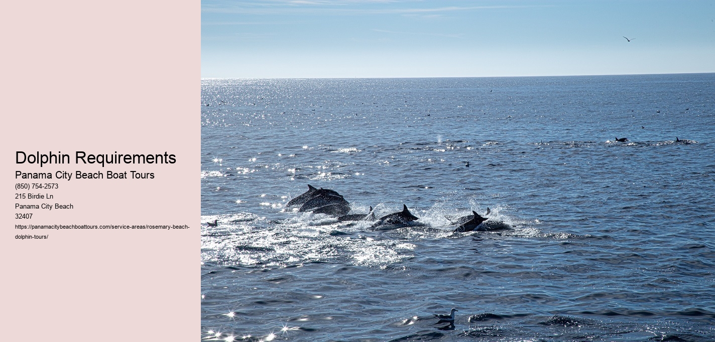 Dolphin Requirements