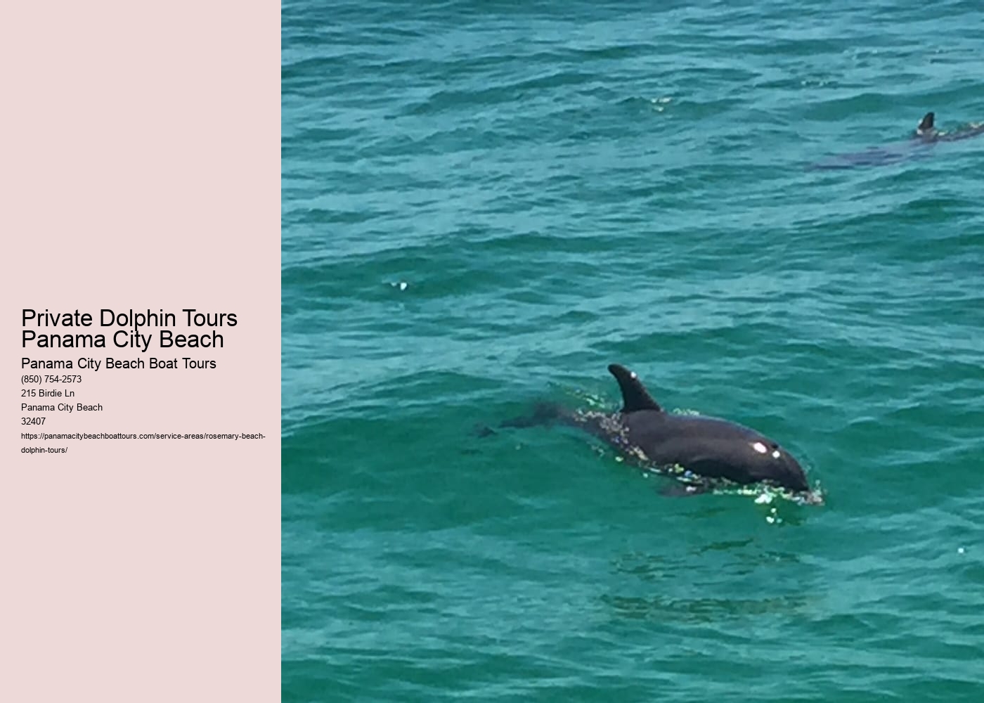 Private Dolphin Tours Panama City Beach
