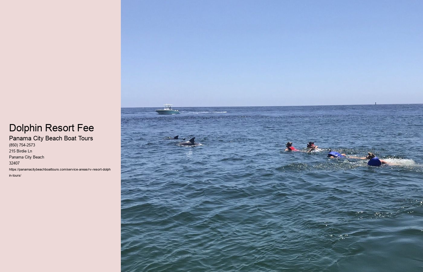 Dolphin Resort Fee