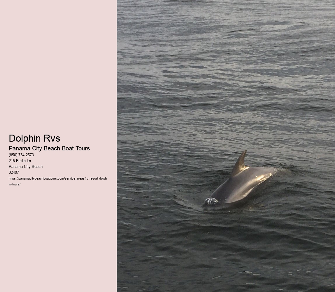 Dolphin Rvs
