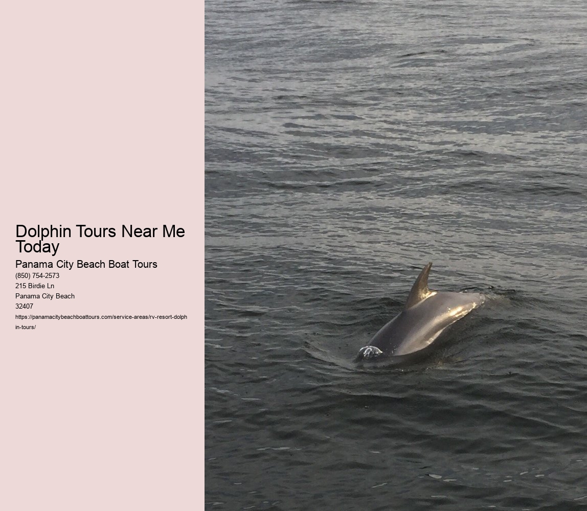 Dolphin Tours Near Me Today