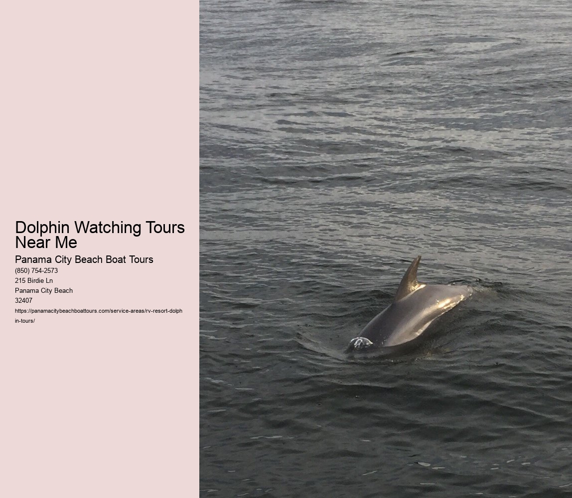 Dolphin Watching Tours Near Me