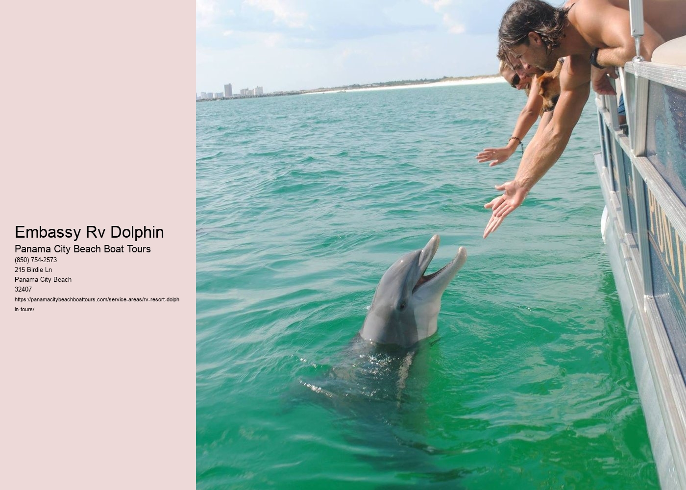 Embassy Rv Dolphin