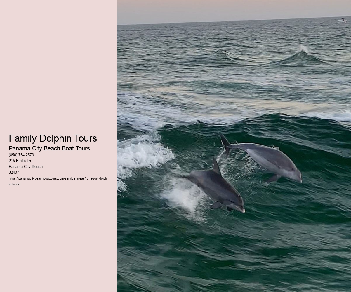 Family Dolphin Tours