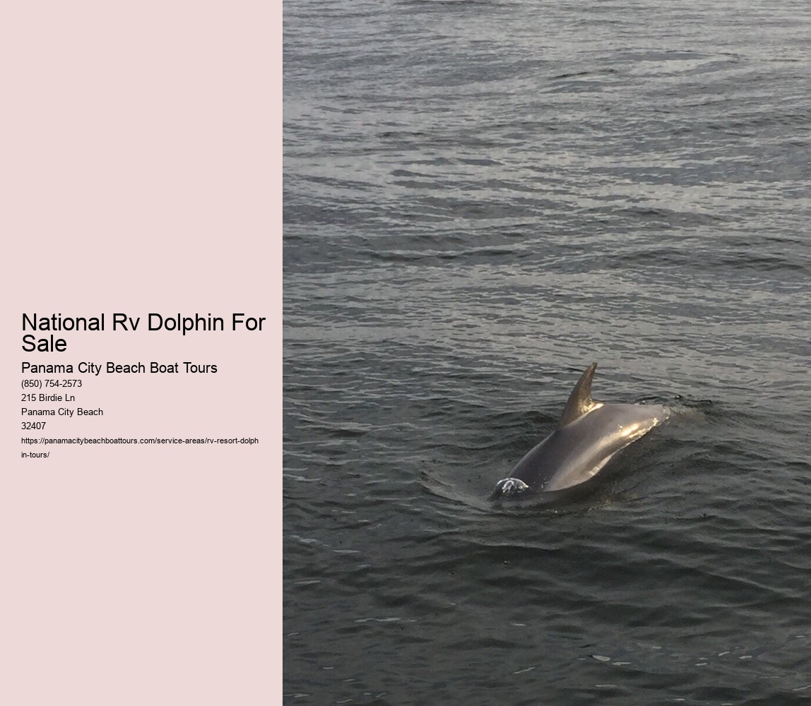 National Rv Dolphin For Sale