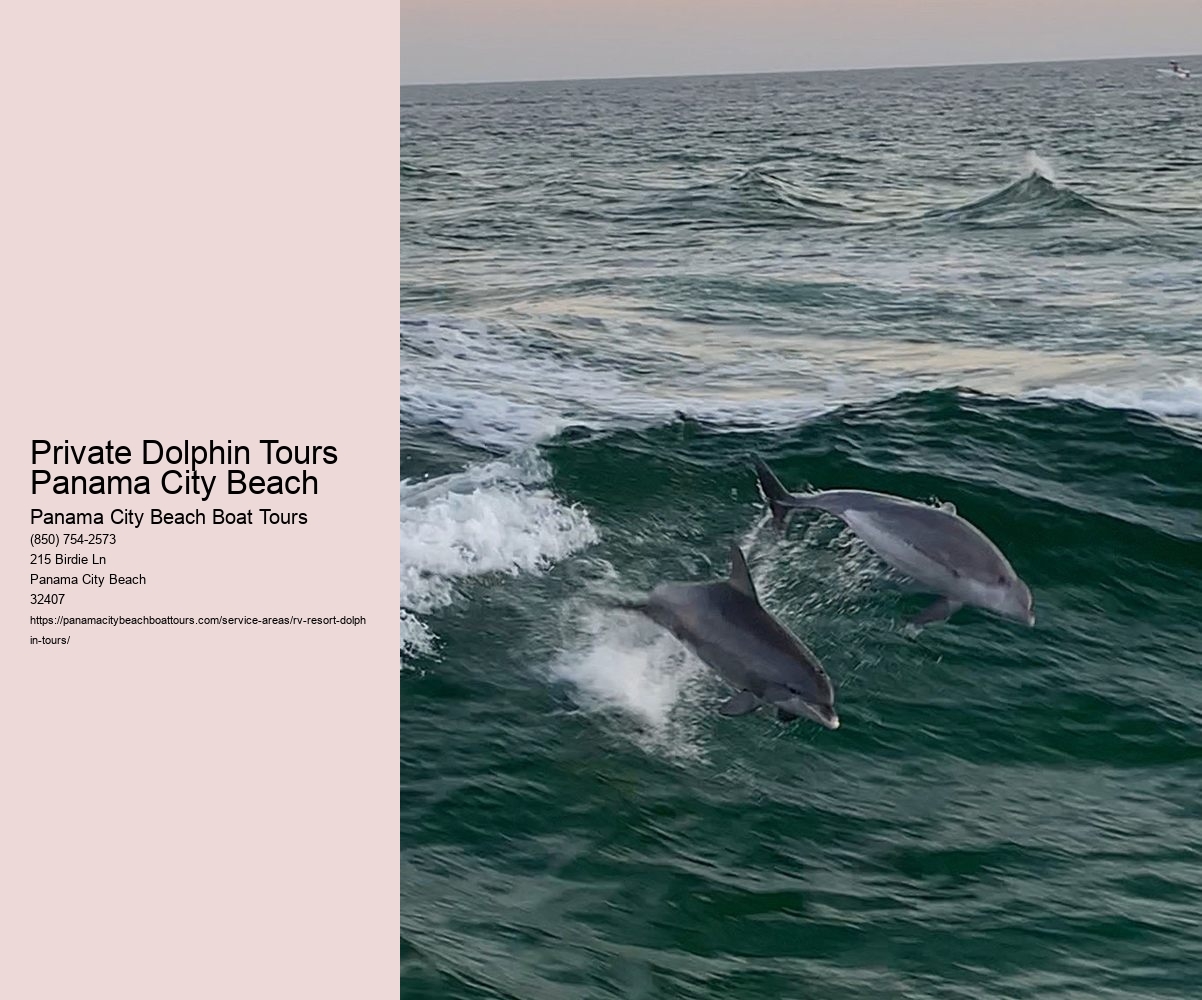 Private Dolphin Tours Panama City Beach