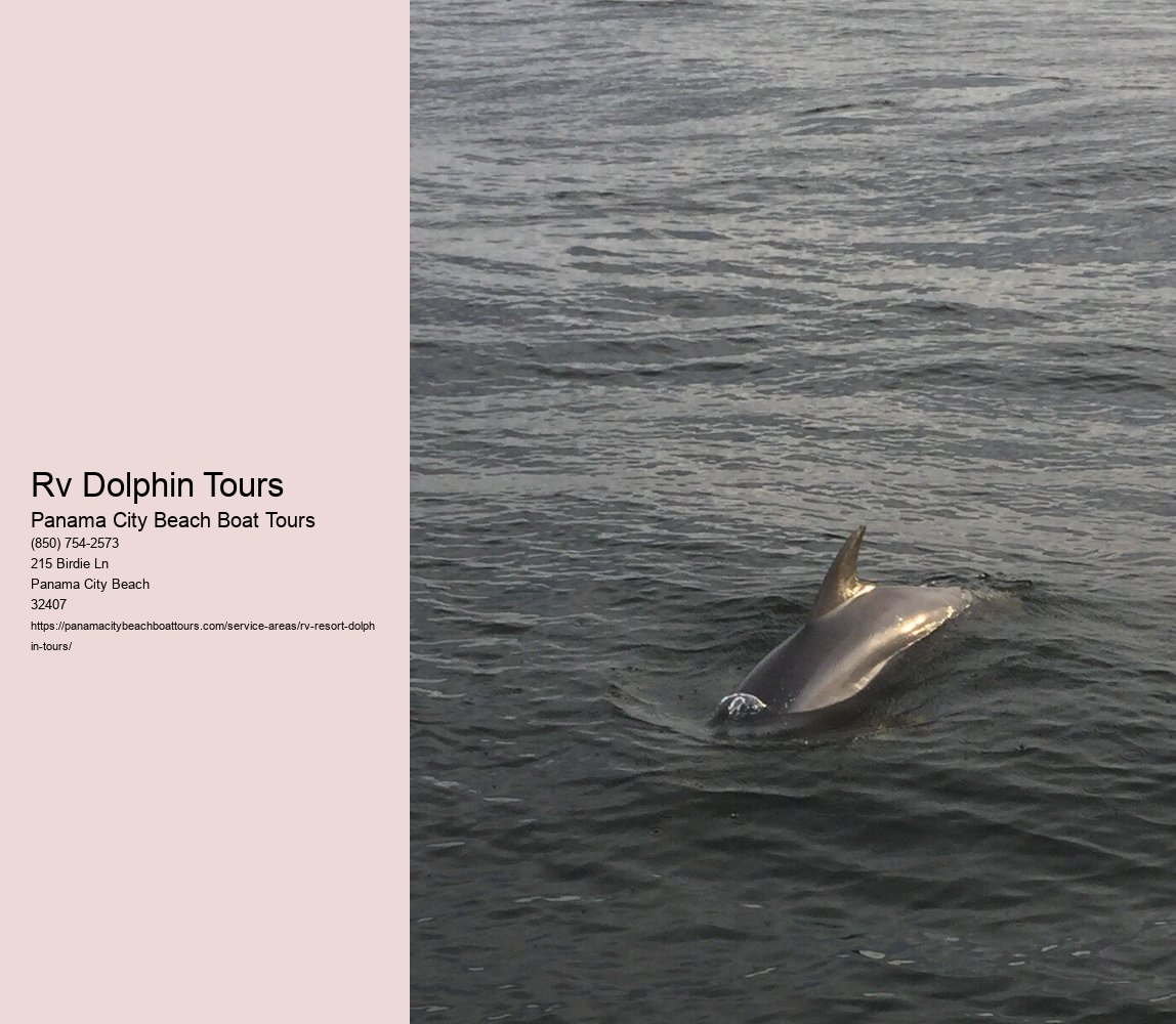 Rv Dolphin Tours