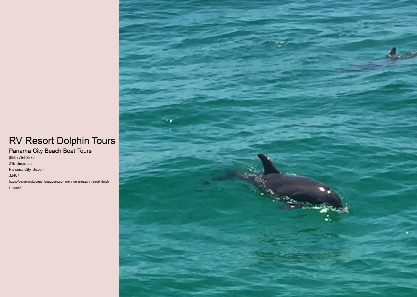 RV Resort Dolphin Tours