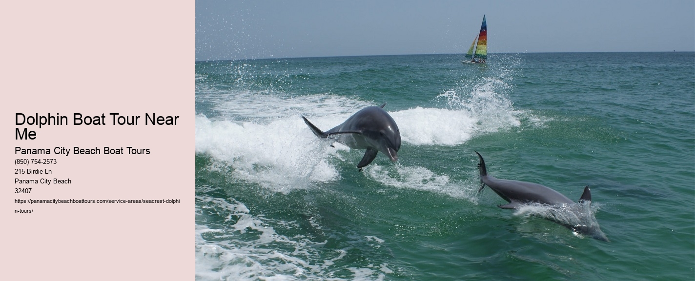 Dolphin Boat Tour Near Me