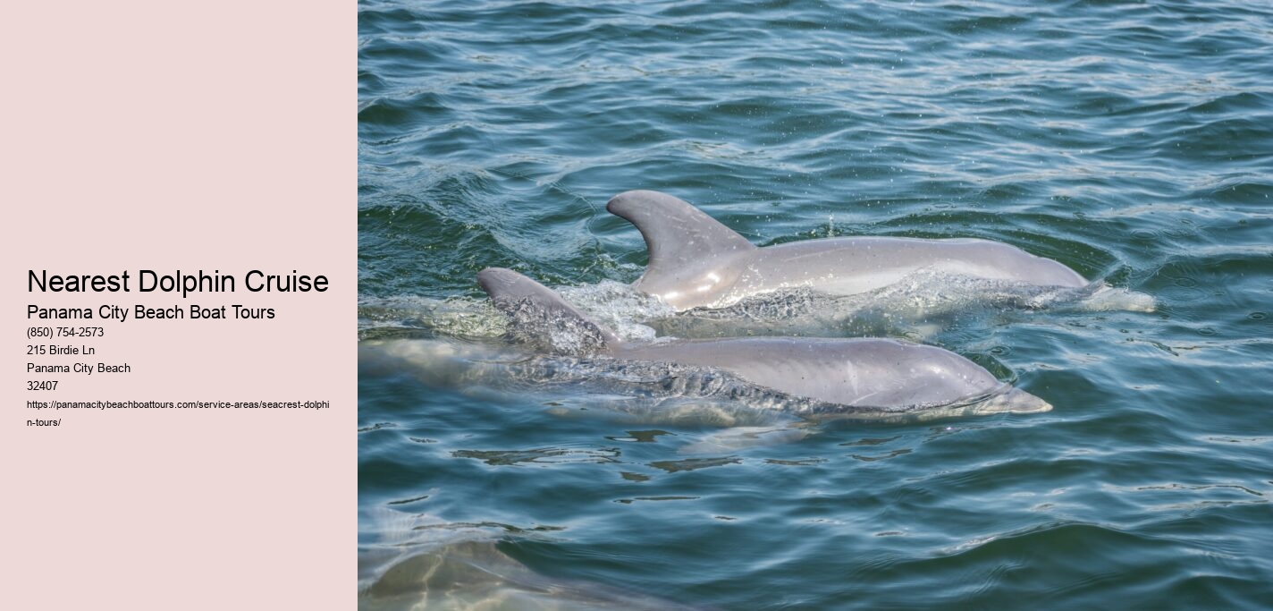 Nearest Dolphin Cruise