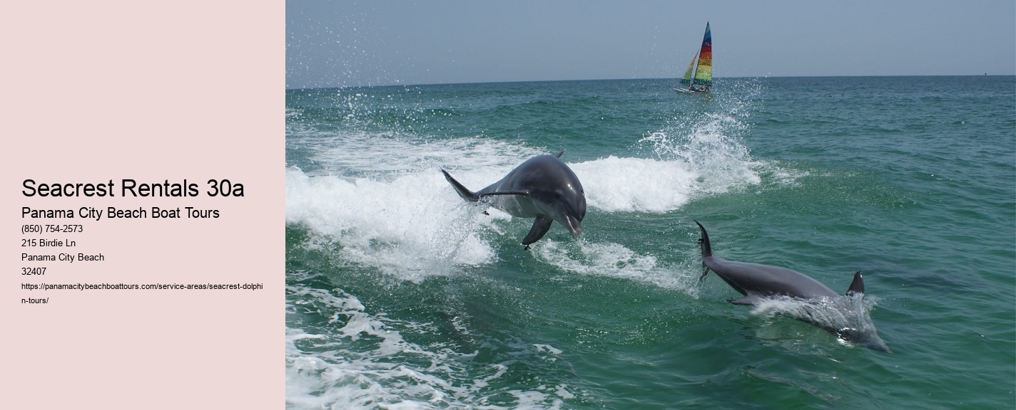 Seacrest Rentals 30a