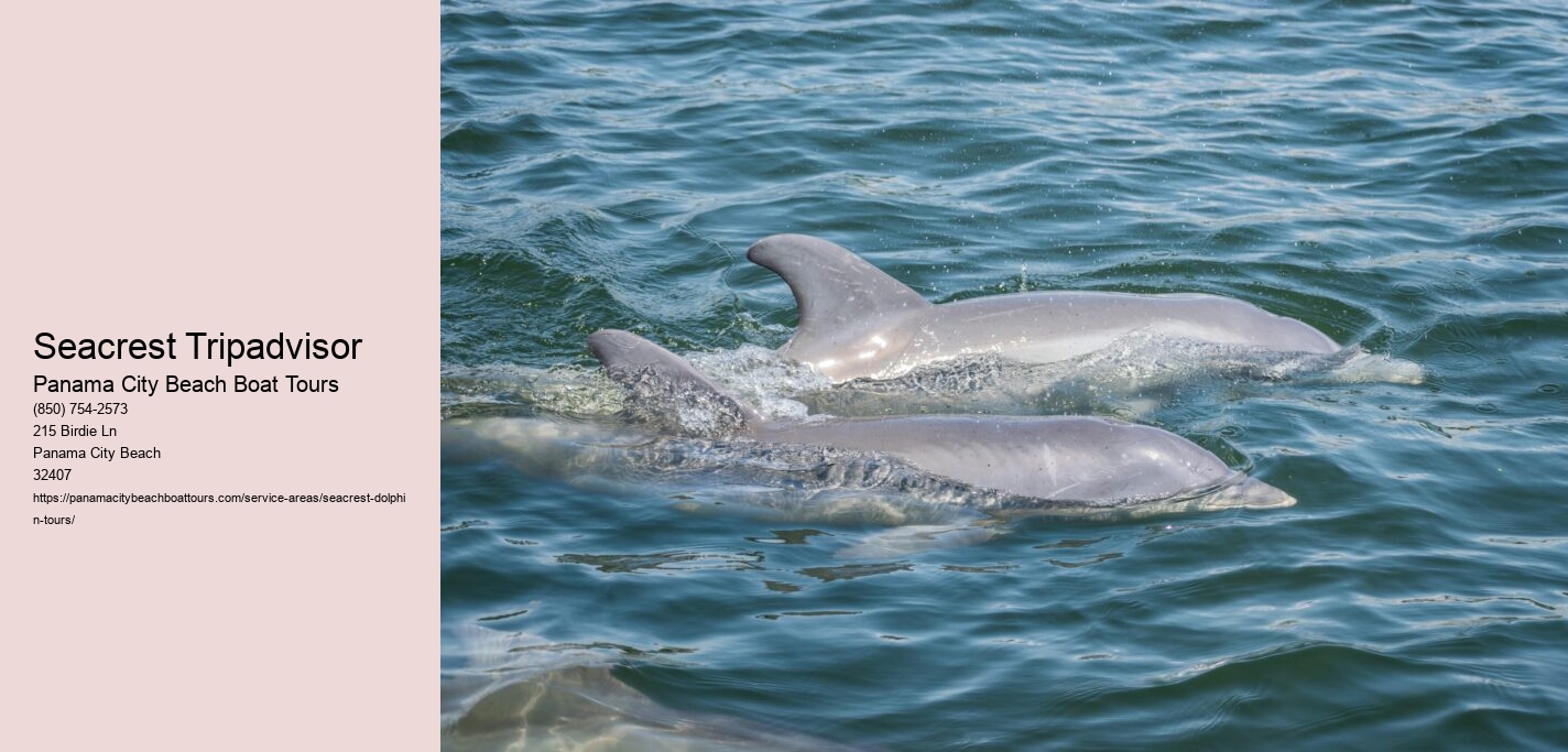 Seacrest Tripadvisor