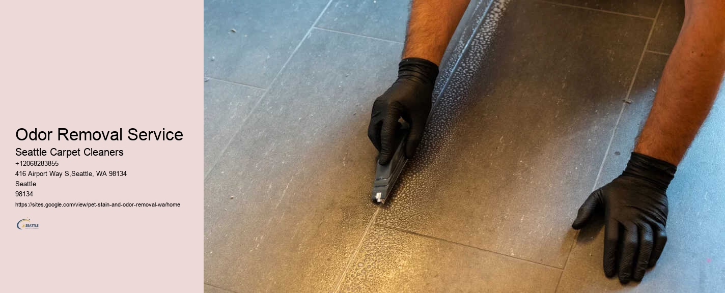 Odor Removal Service