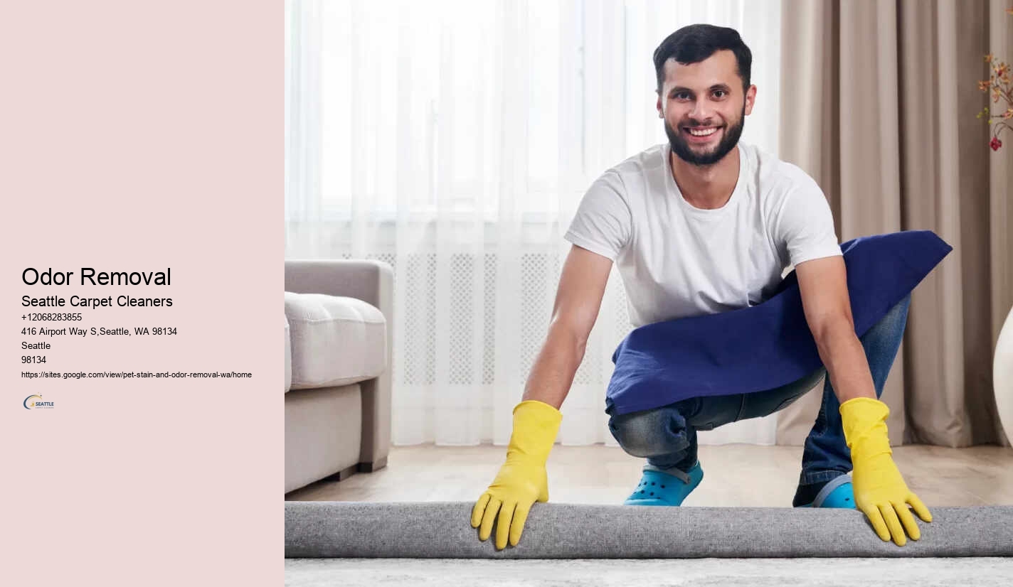 Odor Removal
