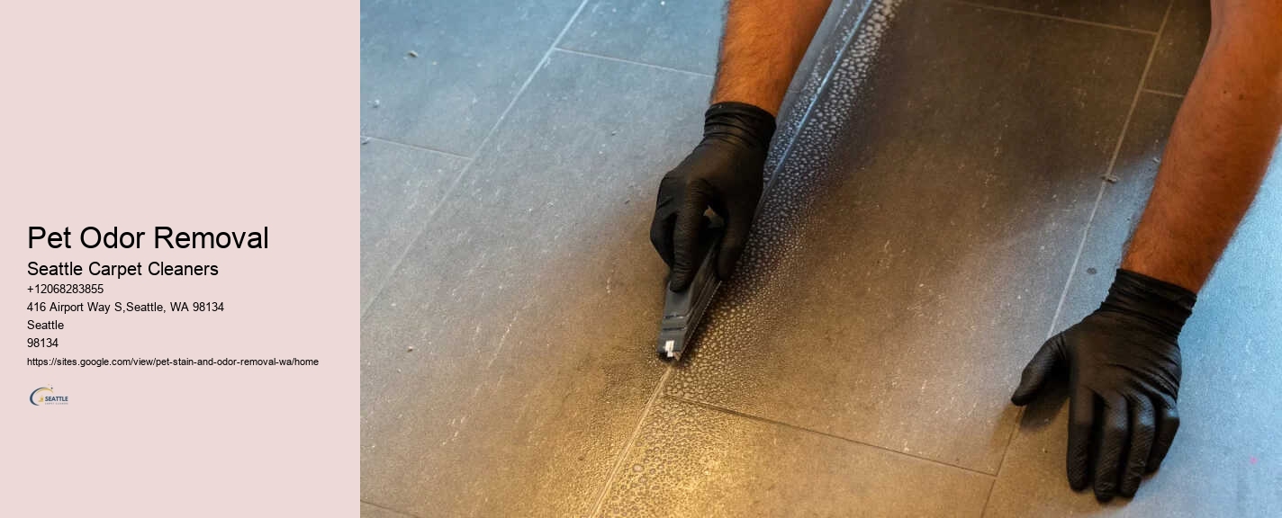 Pet Odor Removal