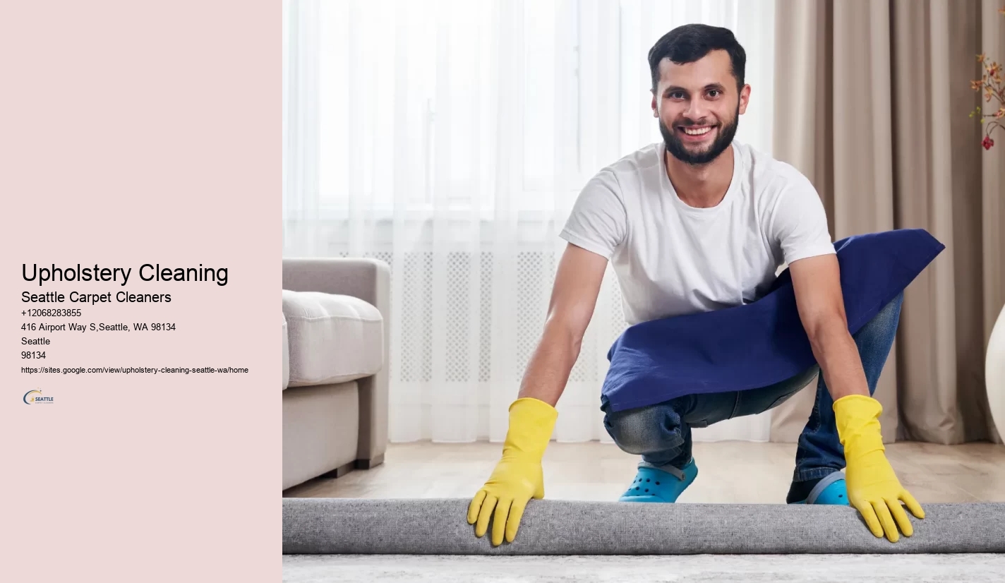 Upholstery Cleaning