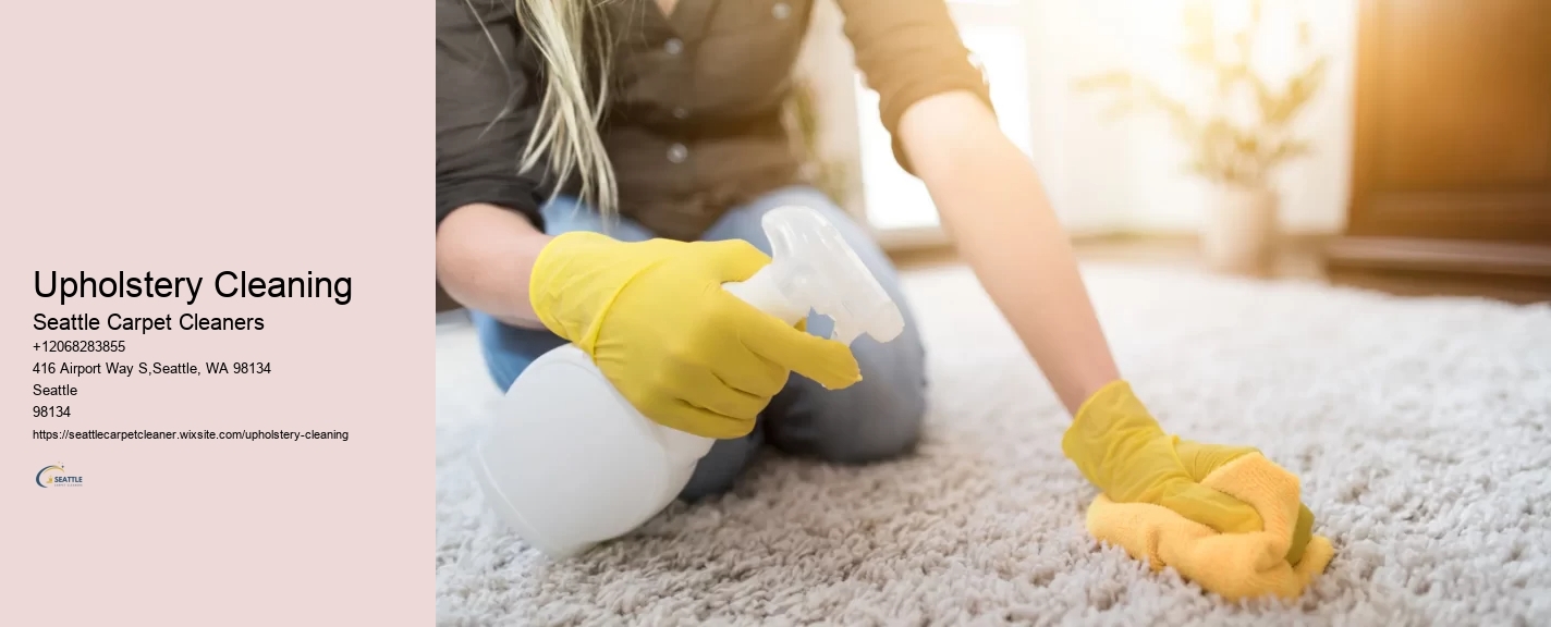 Upholstery Cleaning