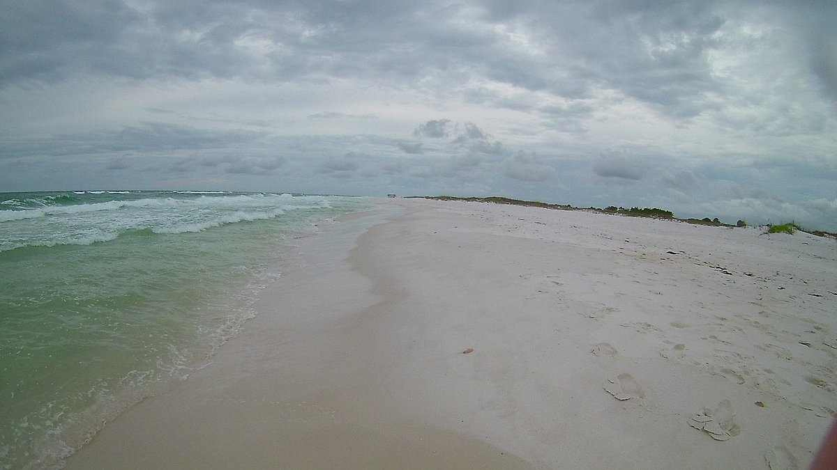 Shell Island Boat