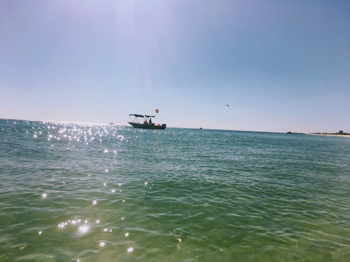 What is the best time to go shelling