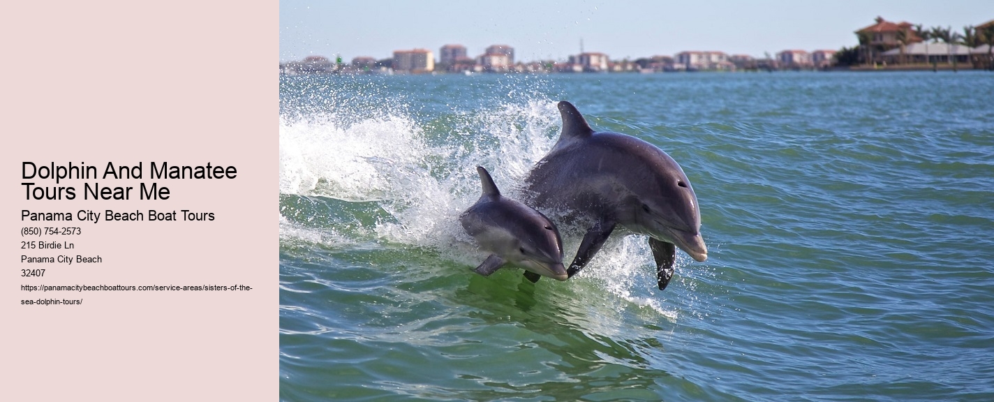 Dolphin And Manatee Tours Near Me