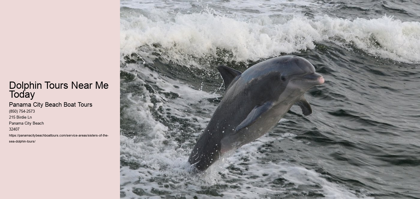 Dolphin Tours Near Me Today