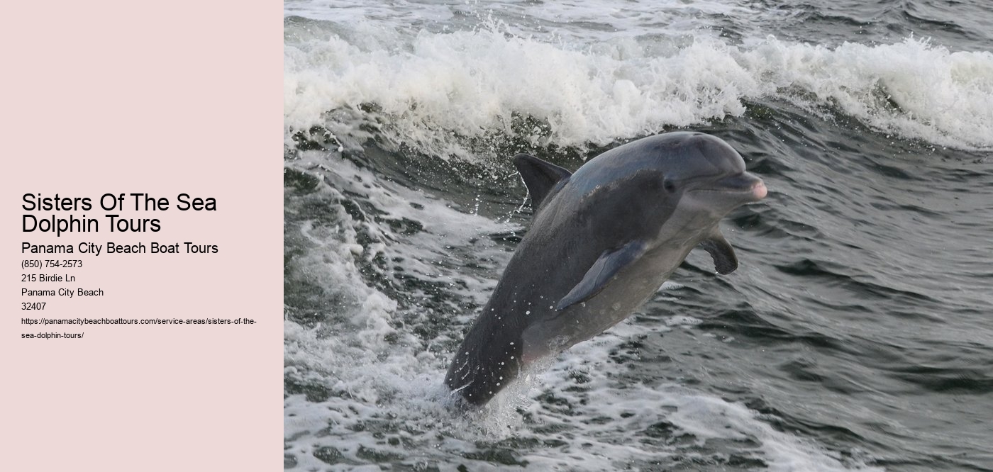 Sisters Of The Sea Dolphin Tours