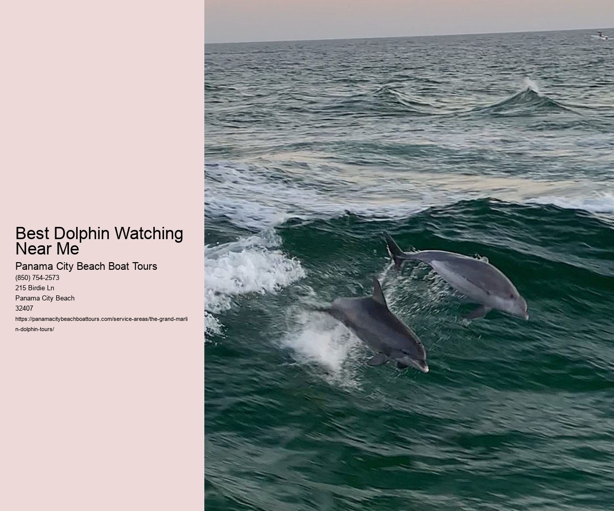Best Dolphin Watching Near Me