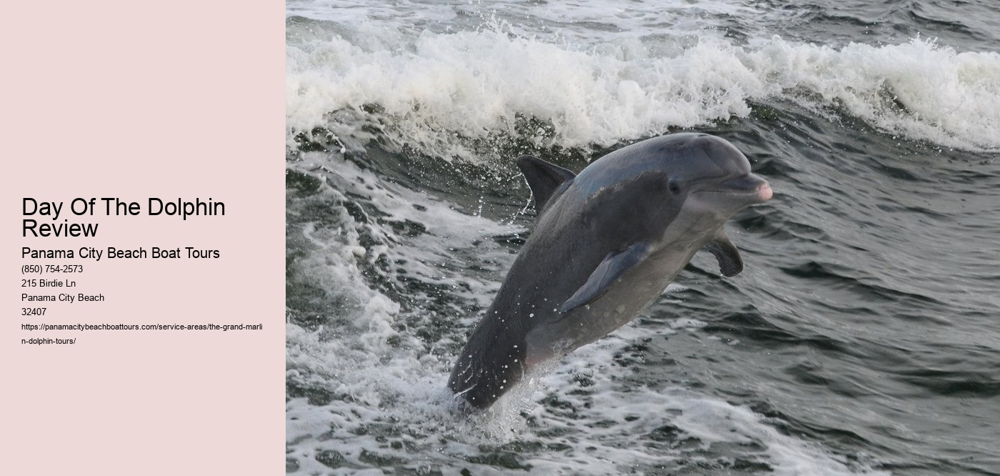 Day Of The Dolphin Review