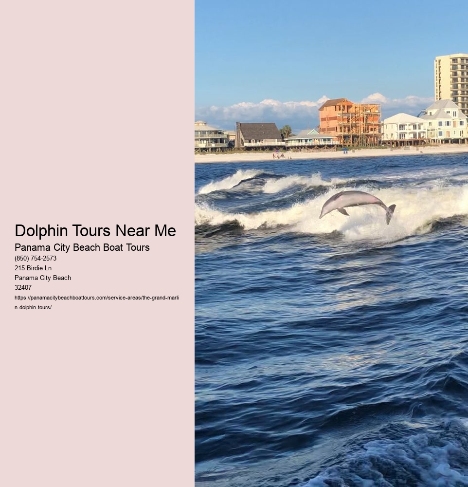 Dolphin Tours Near Me