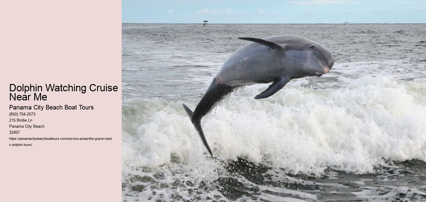 Dolphin Watching Cruise Near Me