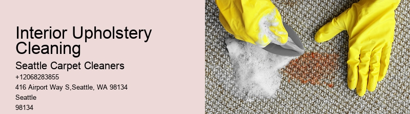 Interior Upholstery Cleaning