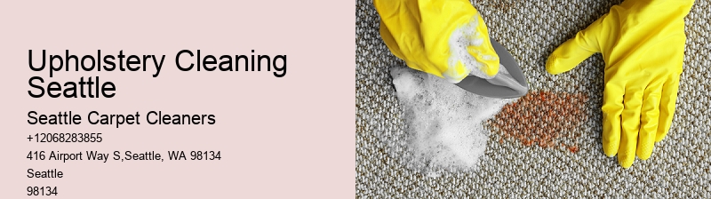 Upholstery Cleaning Seattle