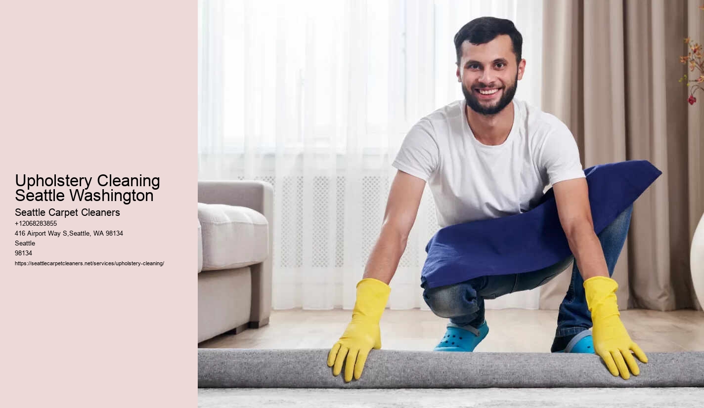 Upholstery Cleaning Seattle Washington
