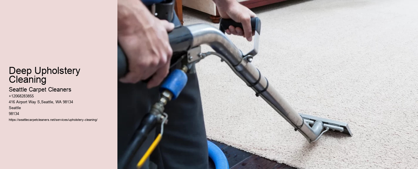 Deep Upholstery Cleaning