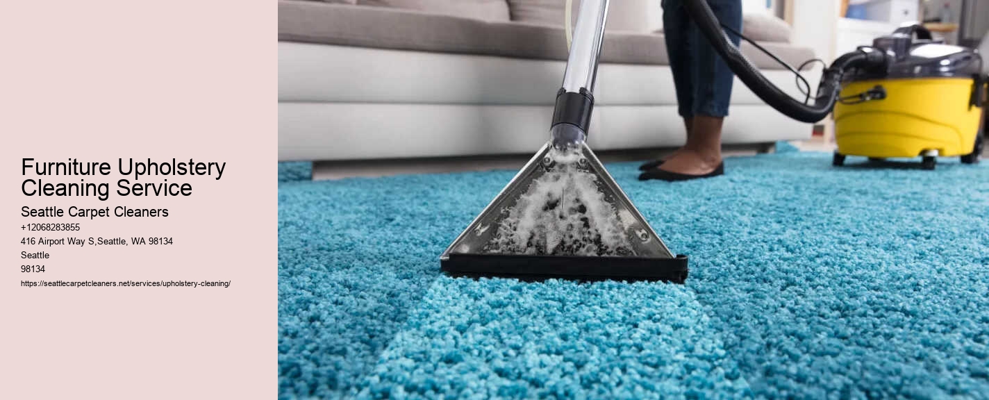 Furniture Upholstery Cleaning Service