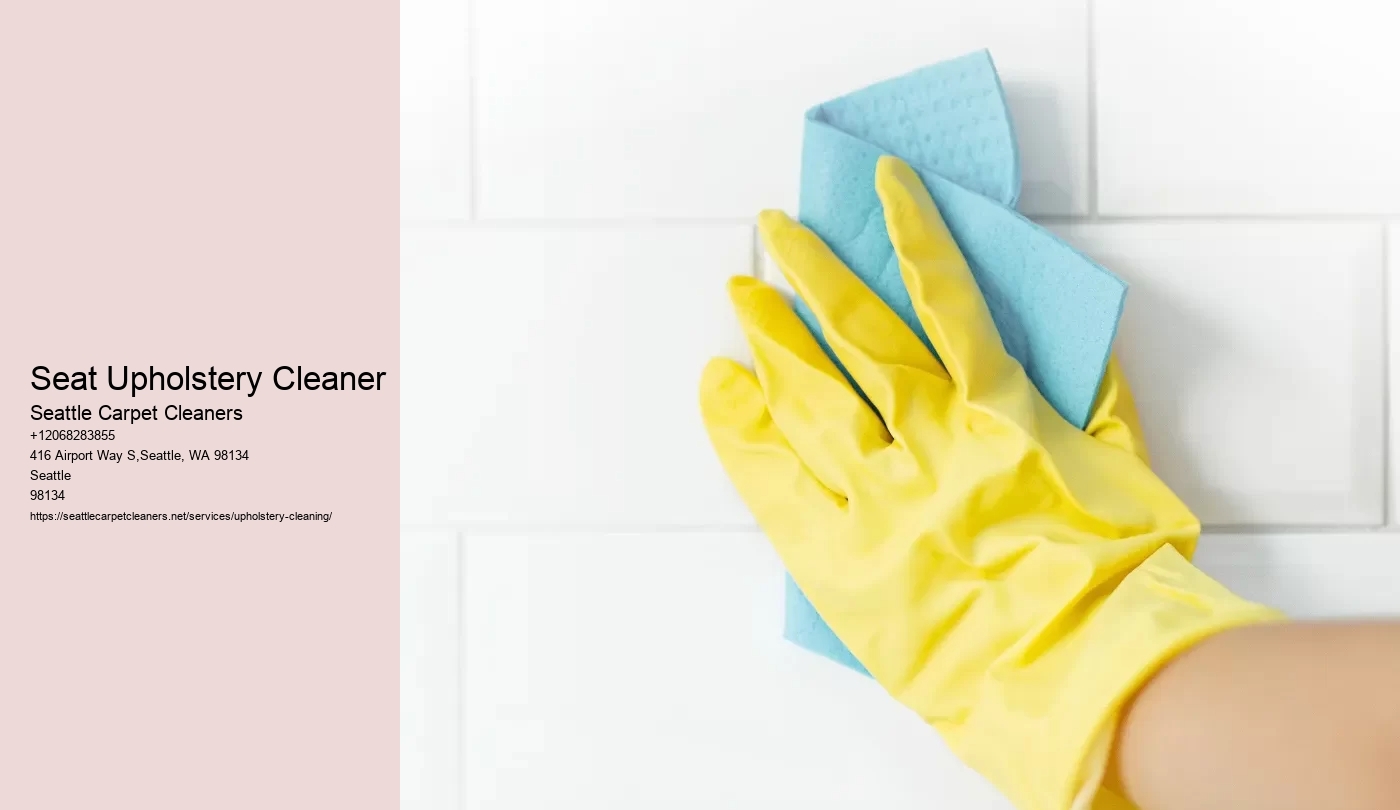 Seat Upholstery Cleaner