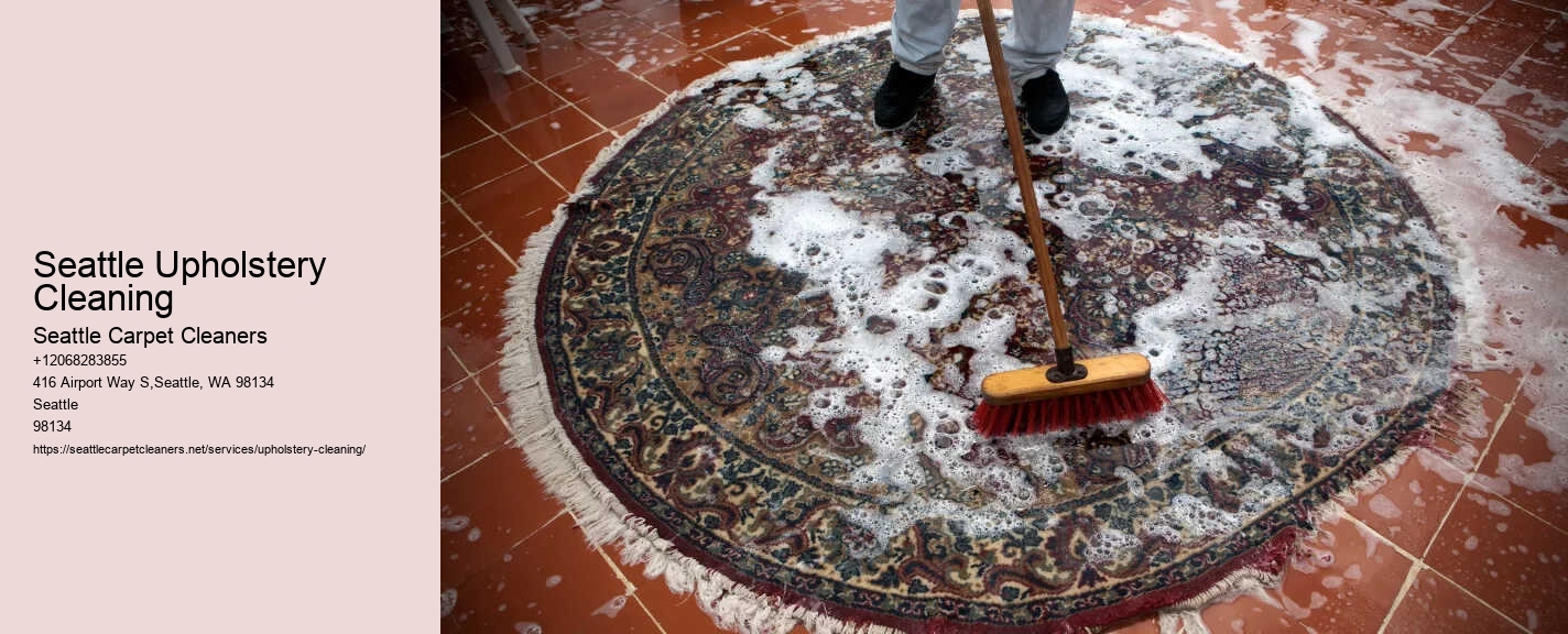 Seattle Upholstery Cleaning