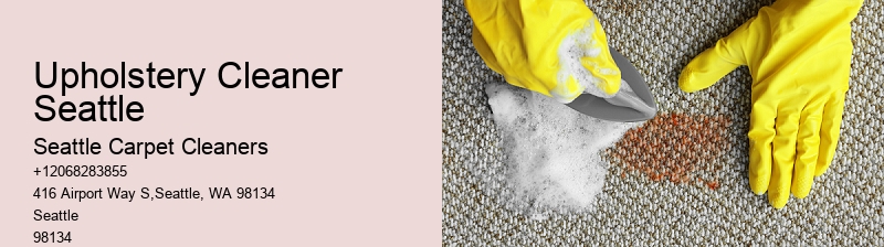 Upholstery Cleaner Seattle